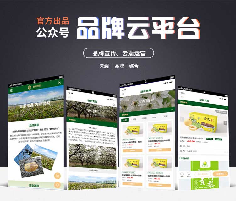 特色农业品牌宣传推广官网+电商公众号